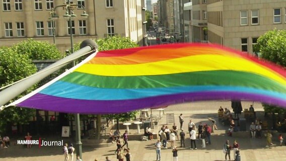 Die Pride Flag weht am Hamburger Rathaus © Screenshot 