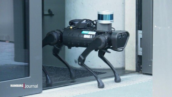 Roboterhund. © Screenshot 