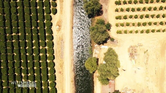 An einem Fluß sind die Ufer gerodet und landwirtschaftliche Flächen entstanden. © Screenshot 