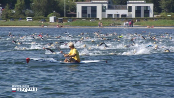 Schwimmerinnen und Schwimmer beim Glücksburger Förde-Crossing. © Screenshot 