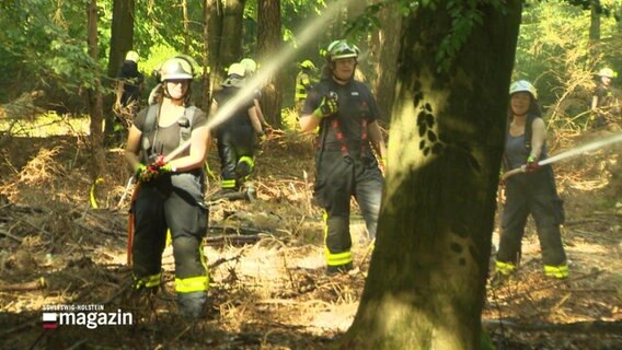 Feuerwehrkräfte trainieren den Einsatz bei Waldbränden im Segeberger Forst. © Screenshot 