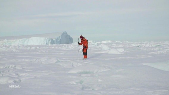 Polarforscherin Stefanie arndt steht inmitten einer Eislandschaft. © Screenshot 