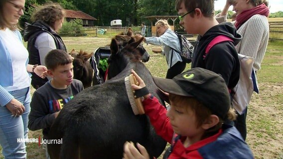 Mehrere Kinder striegeln Esel. © Screenshot 