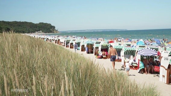 Ein vollbesetzter Strand auf Rügen. © Screenshot 
