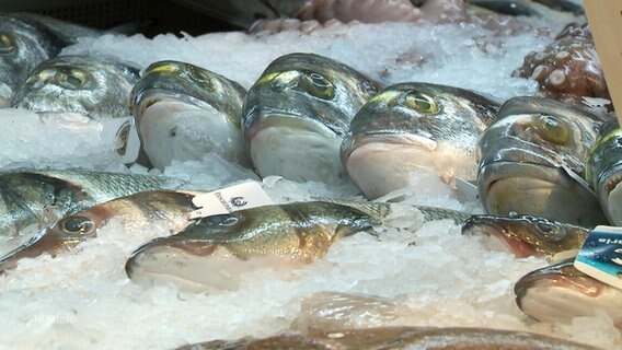 Fische in der Frischetheke. © Screenshot 