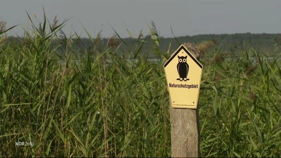 Ein Schild mit der Aufschrift "Naturschutzgebiet" im Schilf. © Screenshot 
