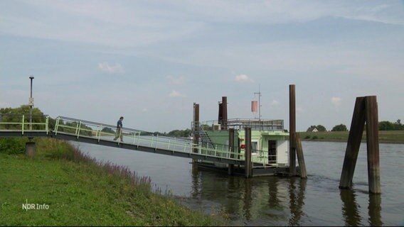 Ein Mann geht über einen Steg auf einen schwimmenden Container auf der Elbe. © Screenshot 
