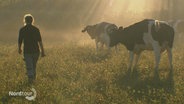Auf einer Weide geht eine Frau neben Kühen durch den von morgendlichen Sonnenstrahlen durchdrungenden Nebel. © Screenshot 