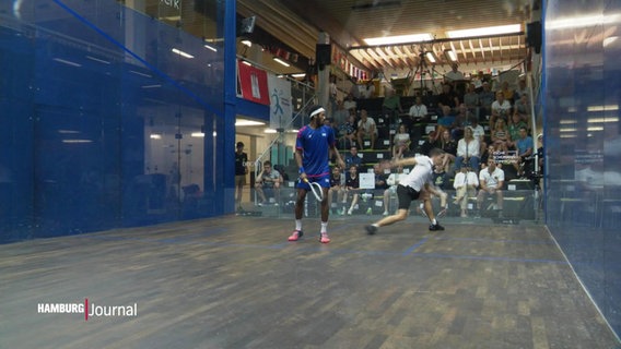 Blick auf ein Spielfeld für Squash während einer Partie der Europameisterschaft. © Screenshot 