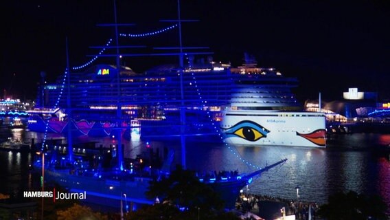 Ein Kreuzfahrtschiff im Hamburger Hafen © Screenshot 