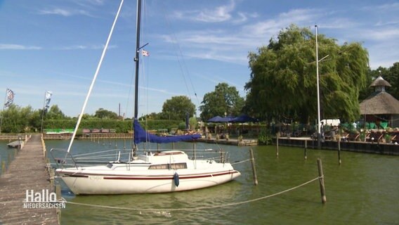 Ein Segelboot auf dem Dümmer See. © Screenshot 