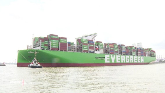 Die "Ever Art" läuft im Hamburger Hafen ein. © Screenshot 