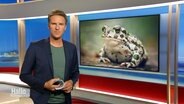 Arne-Torben Voigts moderiert Hallo Niedersachsen © Screenshot 