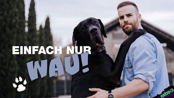 Ein Hund und sein Besitzer. Einfach nur Wau. © NDR 