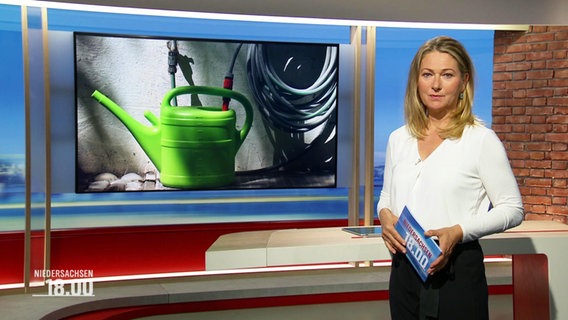 Antje Wöhnke moderiert Niedersachsen 18:00 © Screenshot 