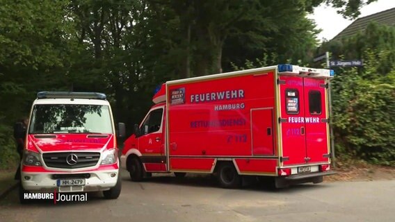 An einer Ecke einer Grünanlage fährt einer Rettungswagen an einem Notarzteinsatzfahrzeug vorbei. © Screenshot 