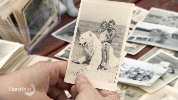 Eine alte Postkarte zeigt Kinder die am Strand auf einem Eisbären reiten © Screenshot 