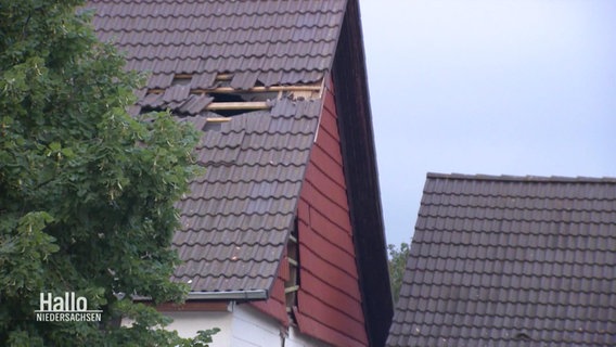Schäden an einem Hausdach nach einem Flugzeugabsturz © Screenshot 