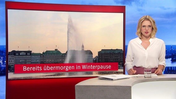 Merlin van Rissenbeck, Hamburg Journal, berichtet über die Winterpause der Hamburger Alsterfontäne. © Screenshot 