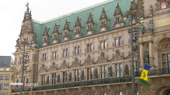 Blick auf den linken Flügel des Hamburger Rathauses © Screenshot 
