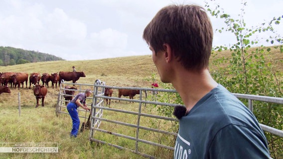 Auf dem Biohof Düna bei Osterode betrachtet Daniel Wehmeyer die Rinder auf seiner Weide. © Screenshot 