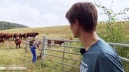 Auf dem Biohof Düna bei Osterode betrachtet Daniel Wehmeyer die Rinder auf seiner Weide. © Screenshot 