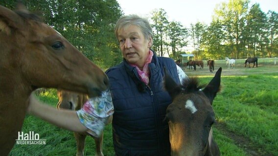Pferdehalterin Gaby Depenau gibt ein Interview. Neben ihr stehen zwei Pferde. © Screenshot 