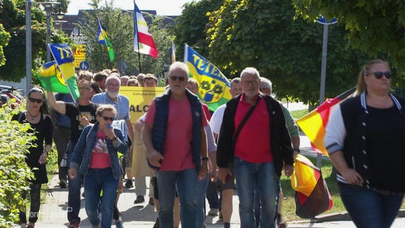 Eine Anzahl von Menschen zieht als Demonstrationszug über eine Straße. Sie halten Banner hoch oder auch die deutsche Flagge. © Screenshot 