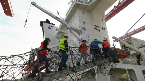 Eine Gruppe Menschen betritt ein Containerschiff. © Screenshot 