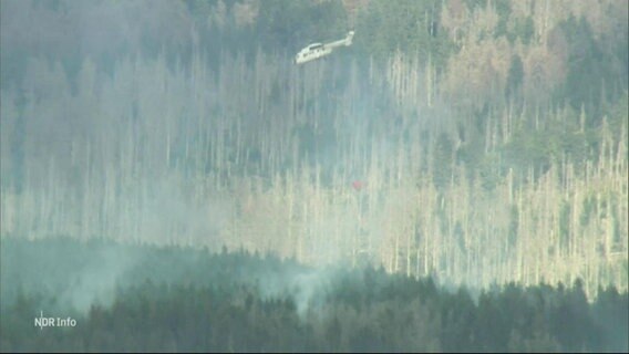 Ein Hubschrauber fliegt über einem Waldbrand im Harz © Screenshot 