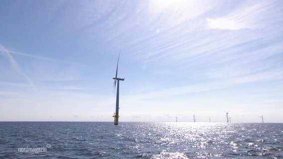 Ein Offshore-Windpark © Screenshot 