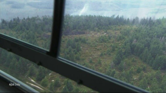 Die Waldbrände im Harz aus der Luft. © Screenshot 