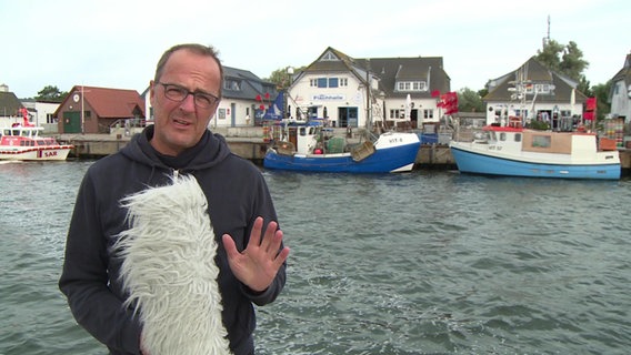 Stefan Kreibohm berichtet aus dem NDR Wetterstudio Hiddensee © Screenshot 