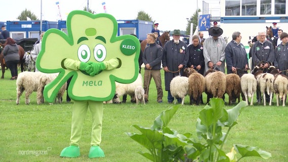 Das Maskottchen der Agrarmesse MeLa ist ein Kleeblatt © Screenshot 