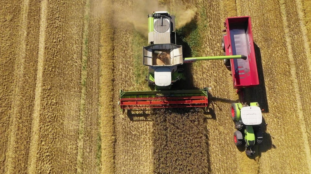 Ein Dorf und seine Landwirtschaft | NDR.de - Fernsehen - Sendungen A-Z