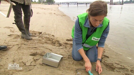 Eine Frau kniet im Sand am Strand mit einer grünen Warnweste und schaufelt Sanproben in eine Metallbrotdose. © Screenshot 