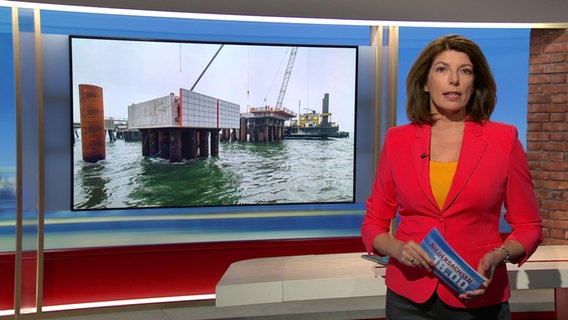 Sandrine Harder berichtet über das LNG Terminal in Stade. © Screenshot 