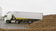 Tonnenweise Rüben lädt ein LKW  in Anklam ab. © Screenshot 