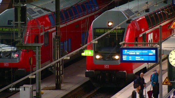 Zwei Züge stehen am Hamburger Hauptbahnhof © Screenshot 