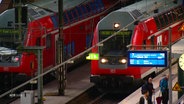 Zwei Züge stehen am Hamburger Hauptbahnhof © Screenshot 