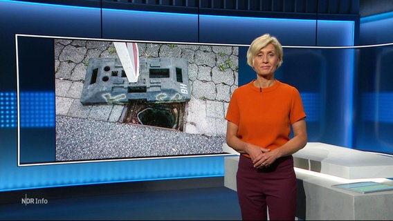 Susanne Stichler moderiert NDR info 21:45. © Screenshot 
