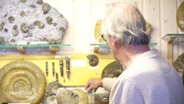 Ein älterter Herr greift einen Gegenstand aus einem Regal mit mehreren, zum Teil sehr großen Ammoniten. © Screenshot 