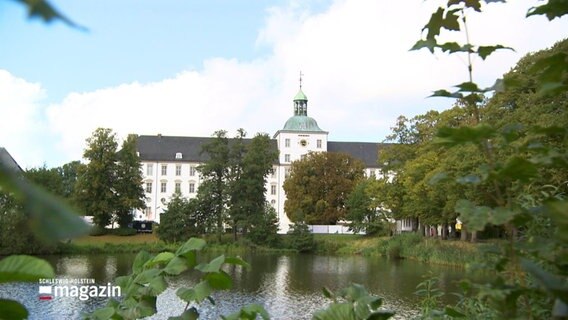 Außenansicht von Schloss Gottorf. © Screenshot 