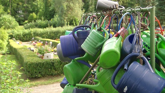 Viele Plastik-Gießkannen hängen an einem Geländer auf einem Friedhof. © Screenshot 