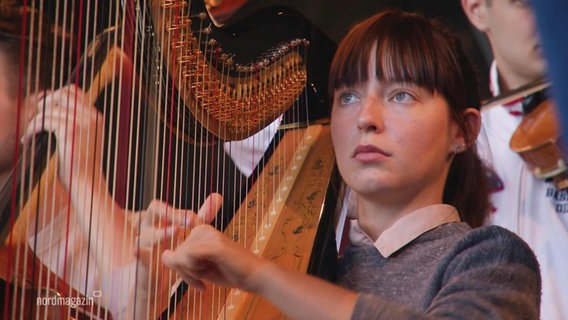 Eine Frau zupft konzentriert eine Harfe bei einem Auftritt ihres Orchesters. © Screenshot 