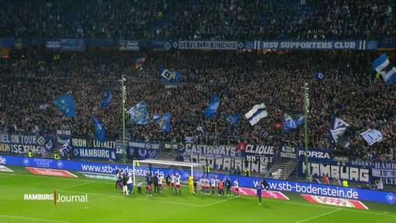 Jubelnde HSV-Fans. © Screenshot 