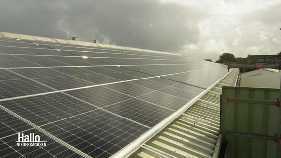 Photovoltaik-Anlagen auf einem Hausdach © Screenshot 