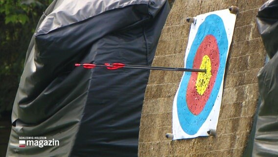 Pfeile sind im gelben Zentrum einer Zielscheibe beim Bogenschießen eingetroffen. © Screenshot 