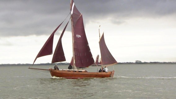 Ein Zeesboot bei einer Regatta © Screenshot 