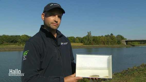 Matthias Emmrich vom Anglerverband Niedersachsen mit Schwarzmeergrundeln. © Screenshot 